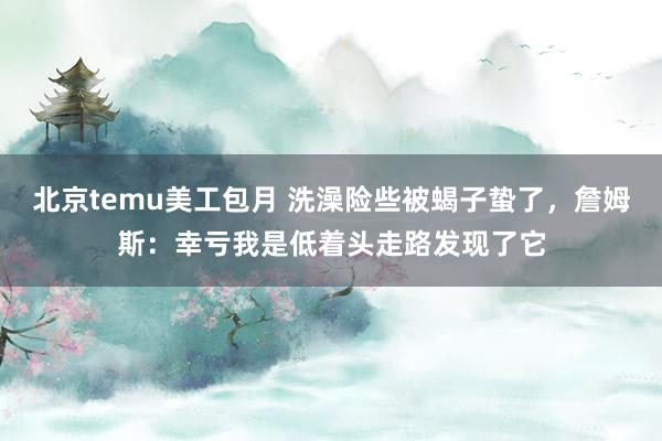 北京temu美工包月 洗澡险些被蝎子蛰了，詹姆斯：幸亏我是低着头走路发现了它